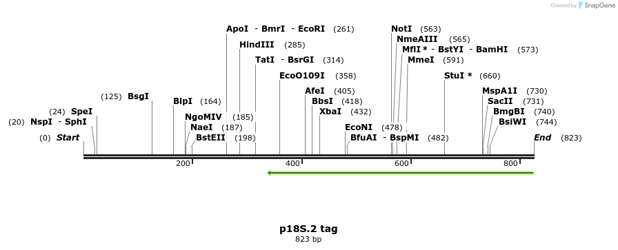90889_map
