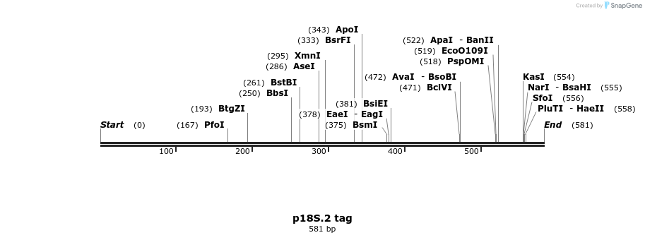 90890_map