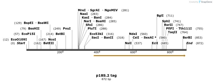 90891_map