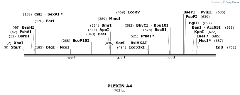 90892_map