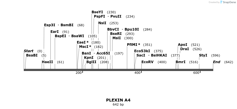 90893_map