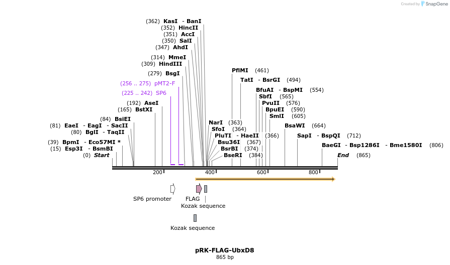 90894_map