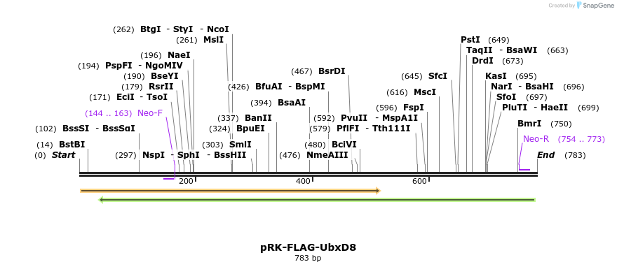 90895_map