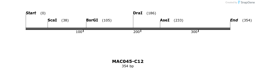 90899_map
