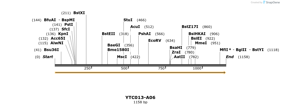 90903_map