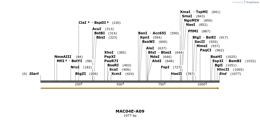 90906_map
