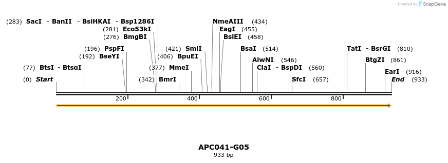 90909_map