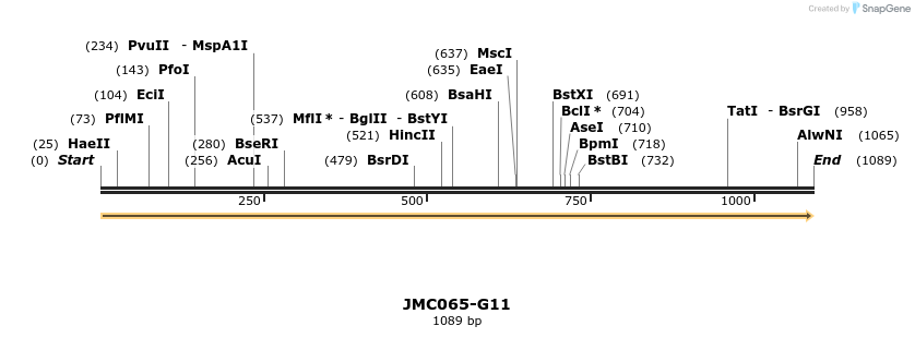 90913_map