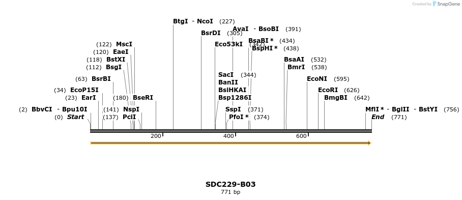 90915_map