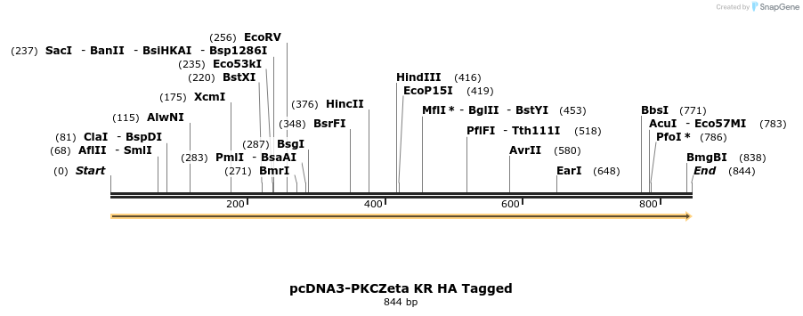 90922_map