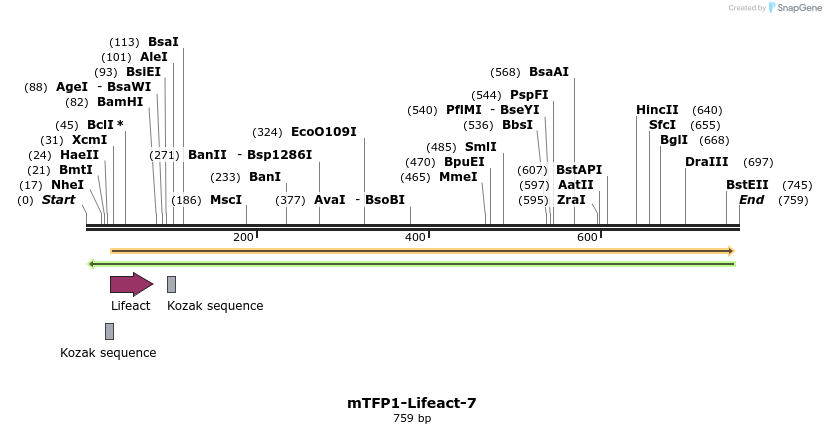 90939_map