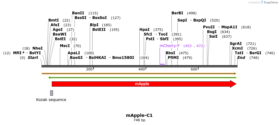 90956_map