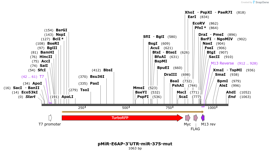 90969_map