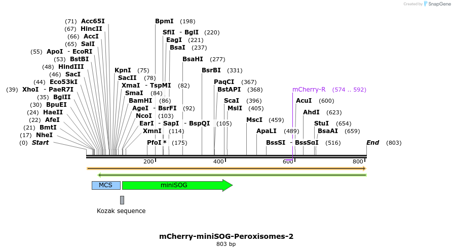 90970_map