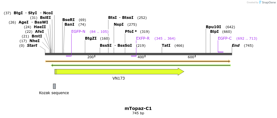 90974_map