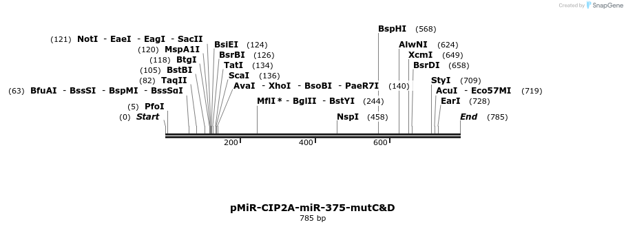 90977_map