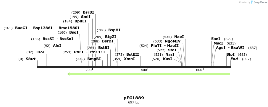 90979_map