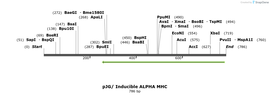90980_map