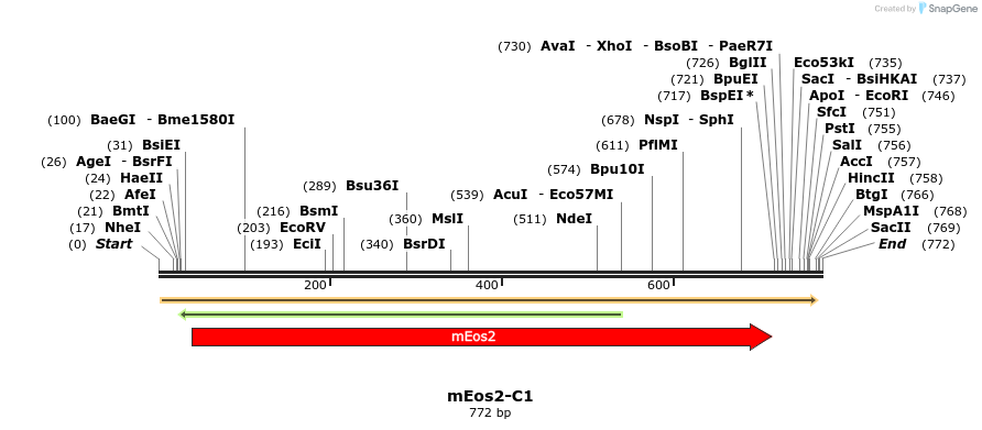 90981_map