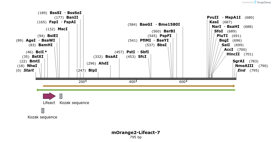 90986_map