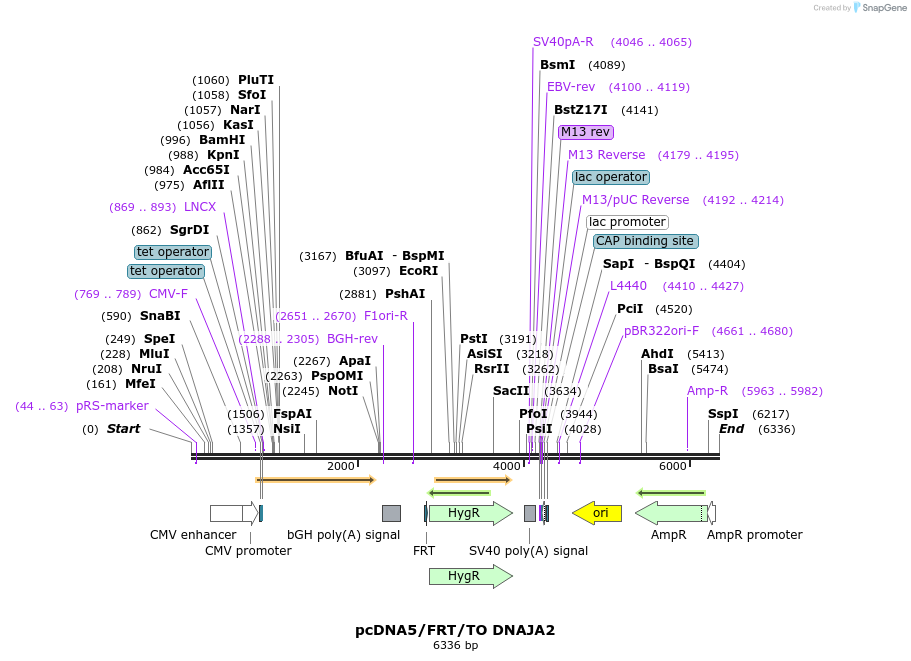 9101_map