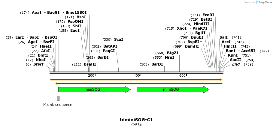 91011_map