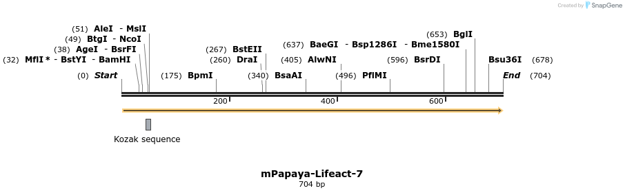 91020_map