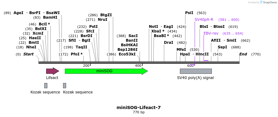 91022_map