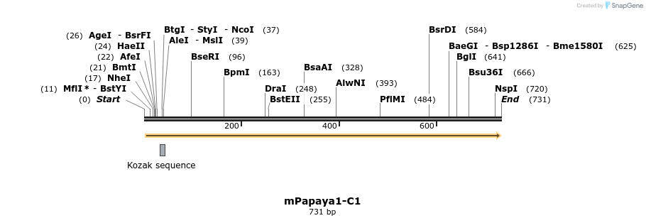 91026_map