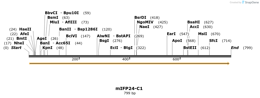91029_map