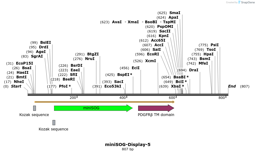 91050_map