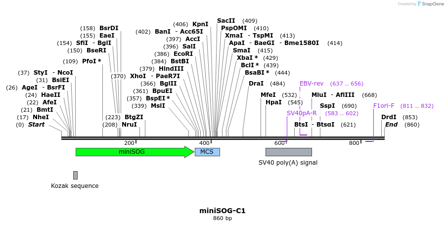 91051_map
