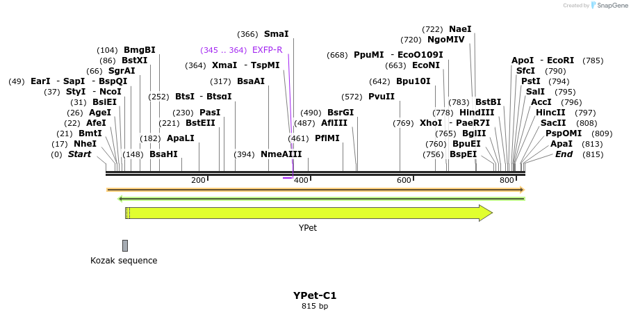 91052_map