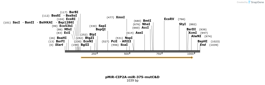 91053_map
