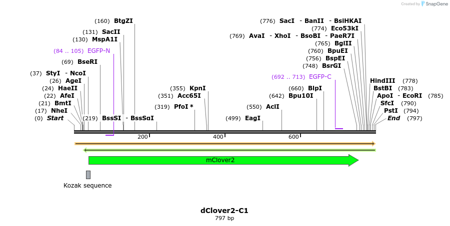 91054_map
