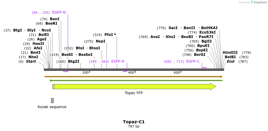 91055_map