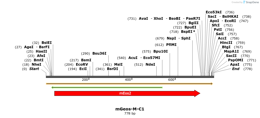 91056_map