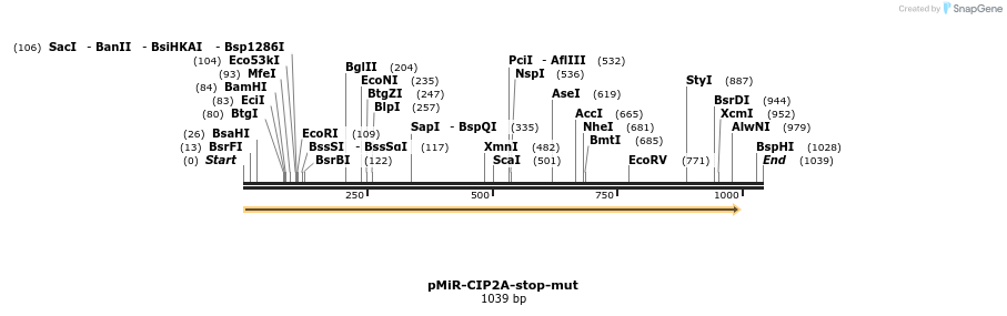 91060_map