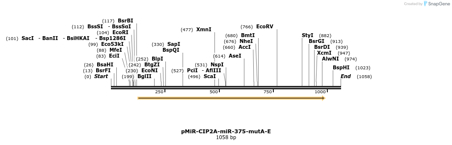 91066_map