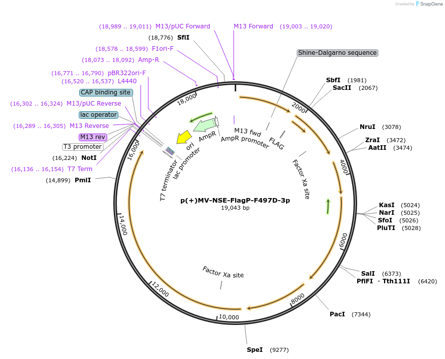 91092_map