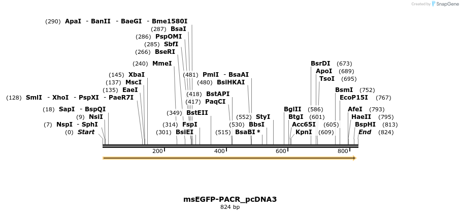 91106_map