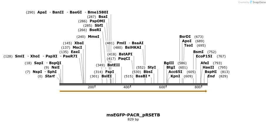 91107_map