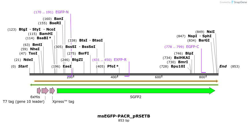91109_map