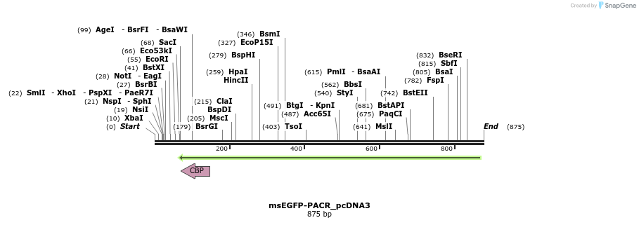 91110_map