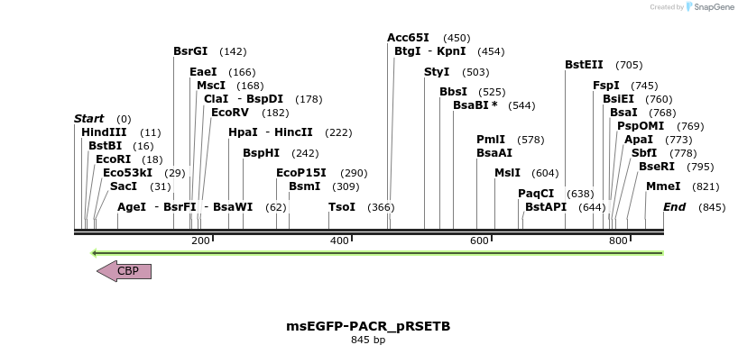 91111_map