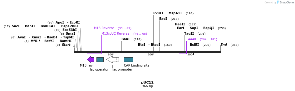 91116_map