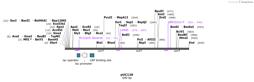 91120_map
