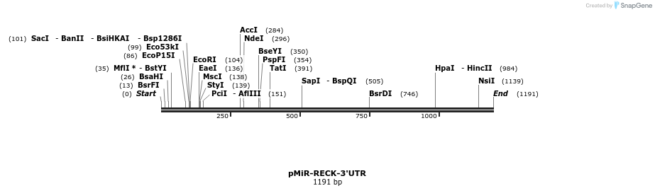 91122_map