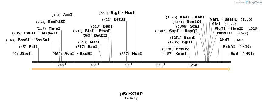 91147_map