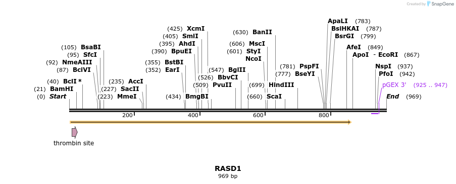 91150_map